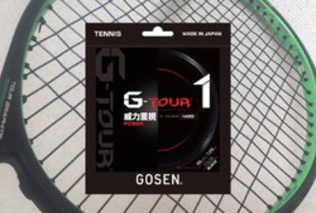 ガットレビュー