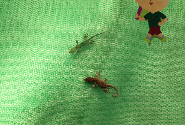 テニスの難しさ