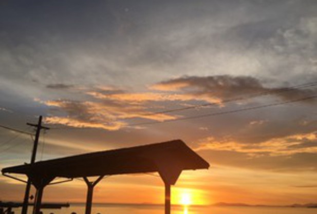 テニスを始めたきっかけ