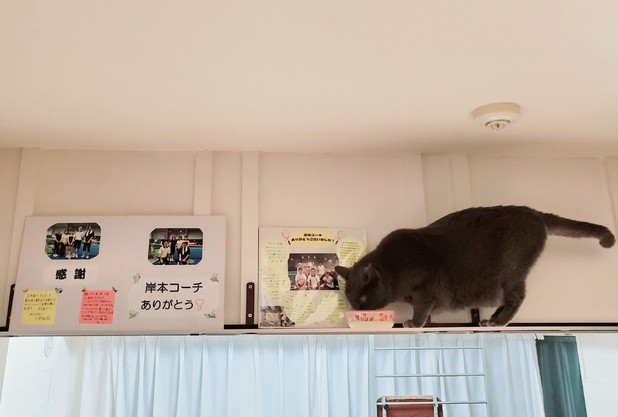 コーチ紹介　岸本