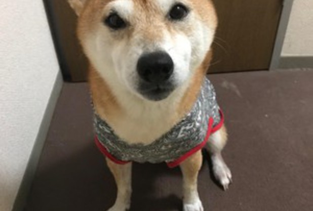 コーチ紹介　永尾