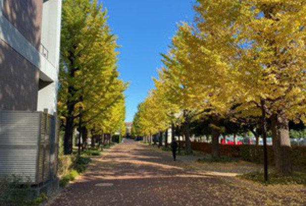 試合結果報告（岡本）