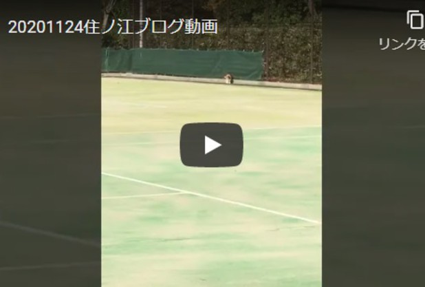 テニスが大好き？？