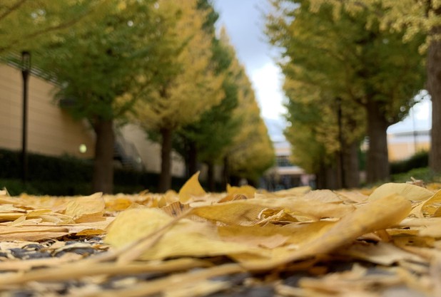 今年も後ひと月