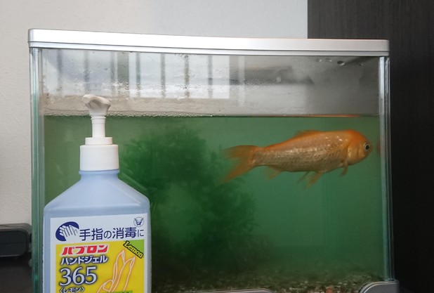 家庭内での感染予防