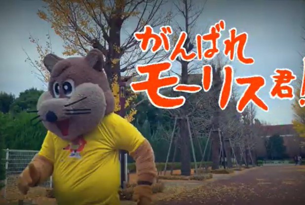 昭和の森といえば、モーリス君