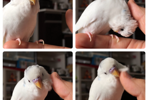 疲れない身体作り