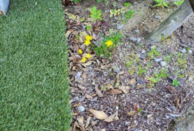 新年度のご挨拶