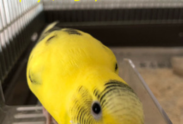 強い強い強い！