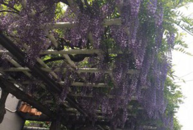 GWイベント目白押し！