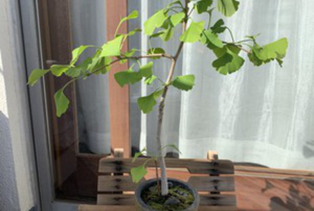 テニスユニバース３つの原理①