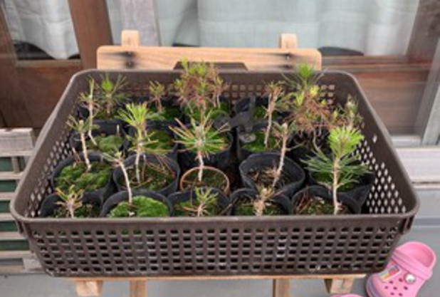 テニスユニバース３つの原理②