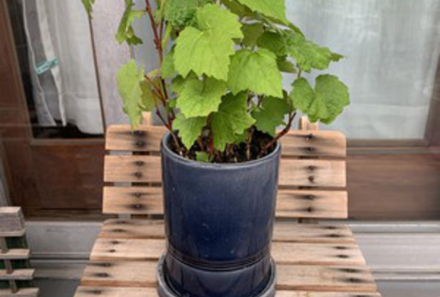 テニスユニバース３つの原理③