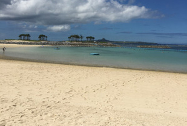 さぁ交流戦デス