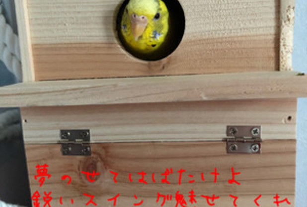 古畑任三ブログ