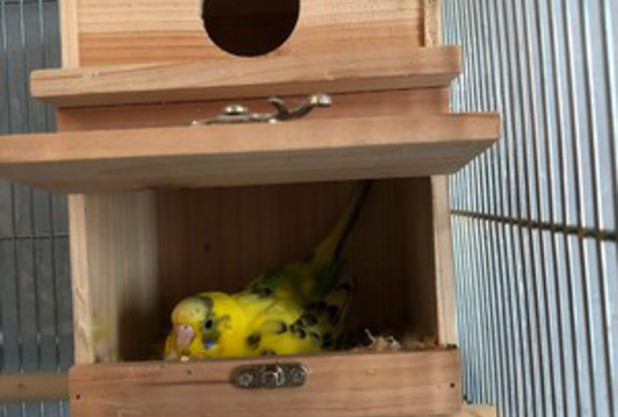 ついつい見てしまう