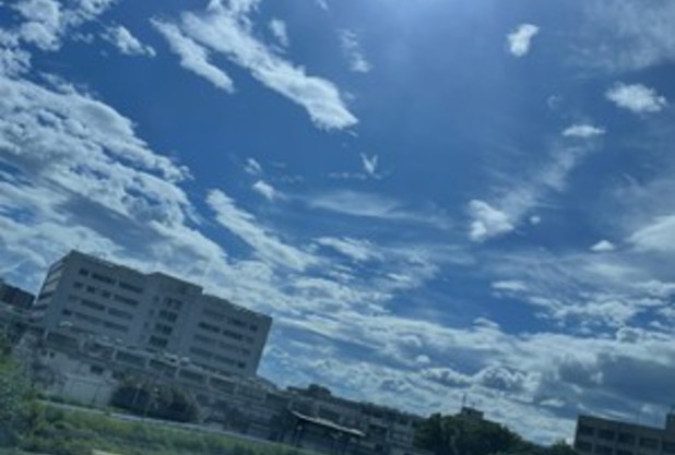 暑くても走る♪