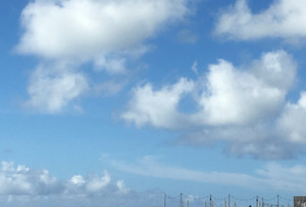 ワクチン入場完了