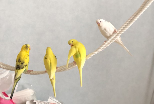 色んな秋見つけた