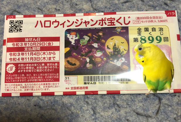 ハロウィンってなんぞ！