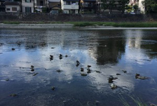 リフレッシュ！