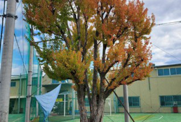 男子オープンダブルス