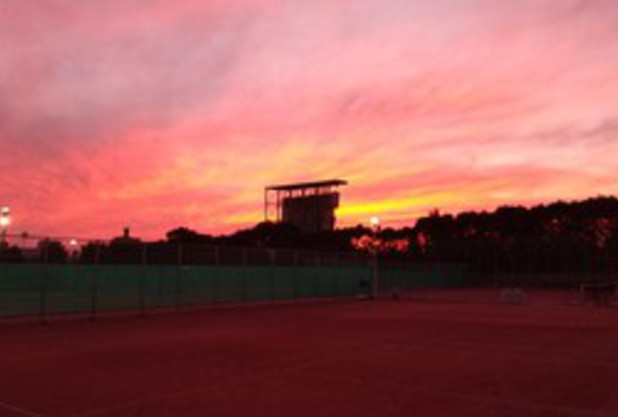 春日部フジ体験デー