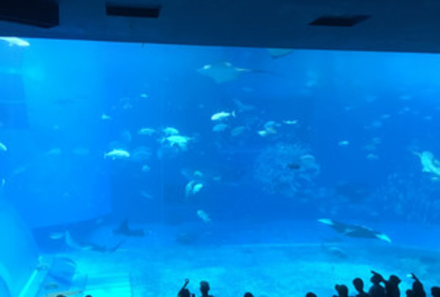 大阪女子マラソン