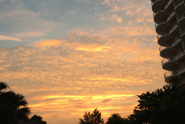 ポイント5倍が。。