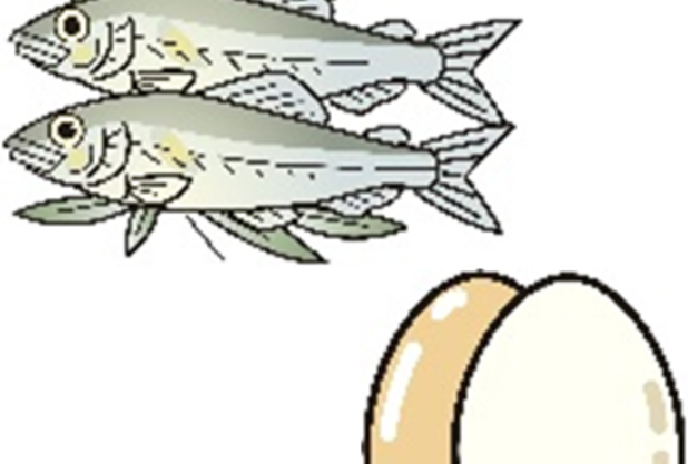 プロテインで簡単に！