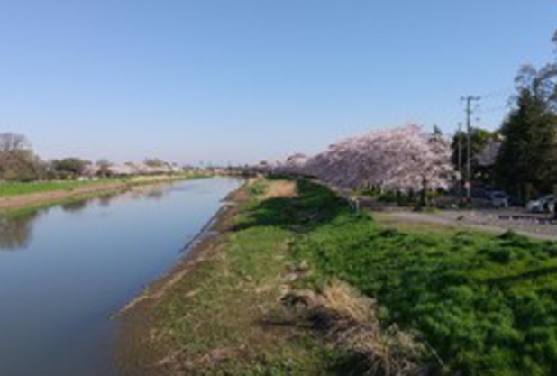 春の入会キャンペーン実施中！