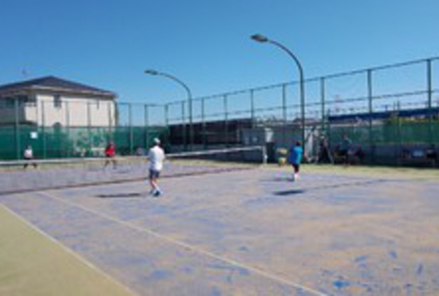 グリーンフェロー