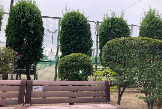 【試合】京王オープンベテランテニストーナメント