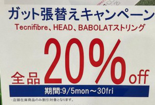 秋のストリングキャンペーンに寄せて
