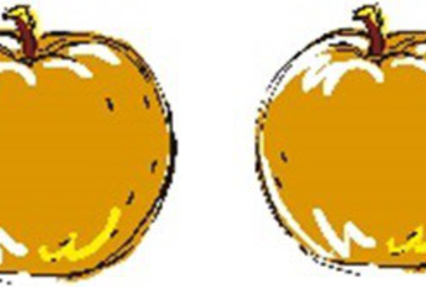 今が旬の「梨」‼