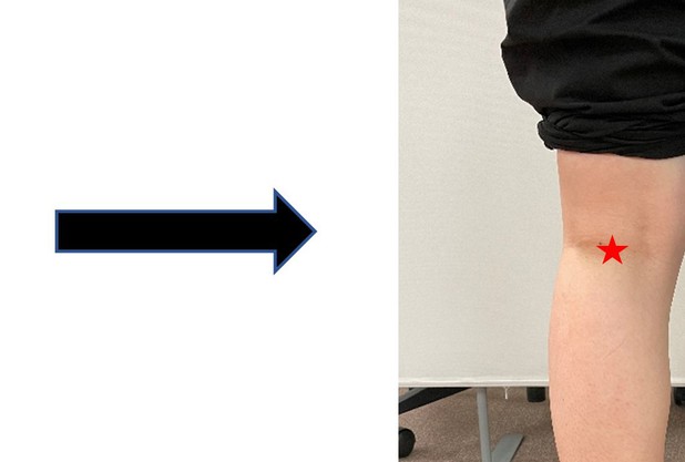 腰の痛みに効くツボ「委中」