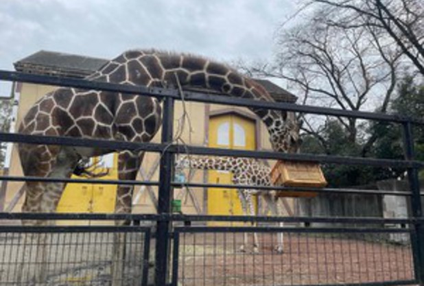 オフの日、動物園に行ってきました