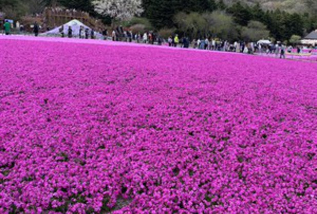 なんでもやってみるとわかることがある