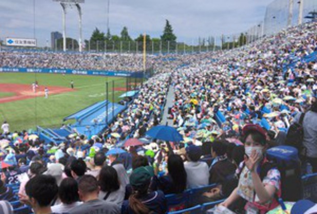 プロ野球観戦