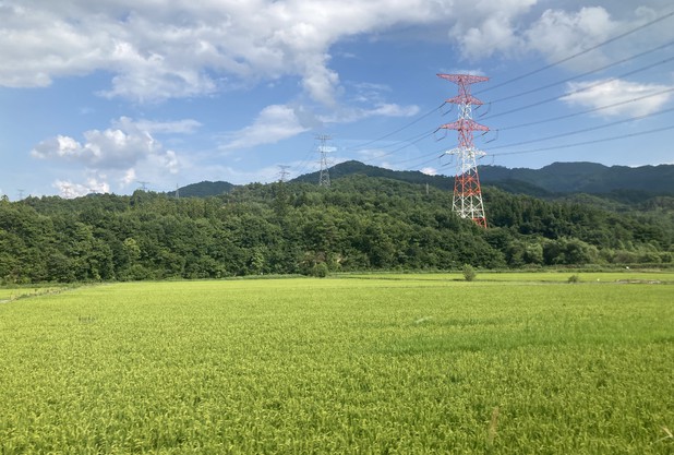 上手くいく日上手くいかない日