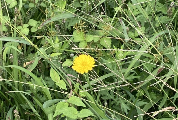 秋の水分補給