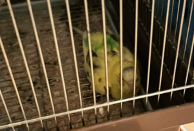 お悩み