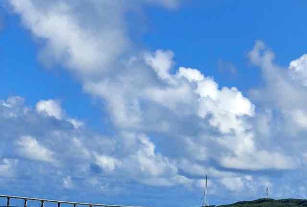 週末だけ
