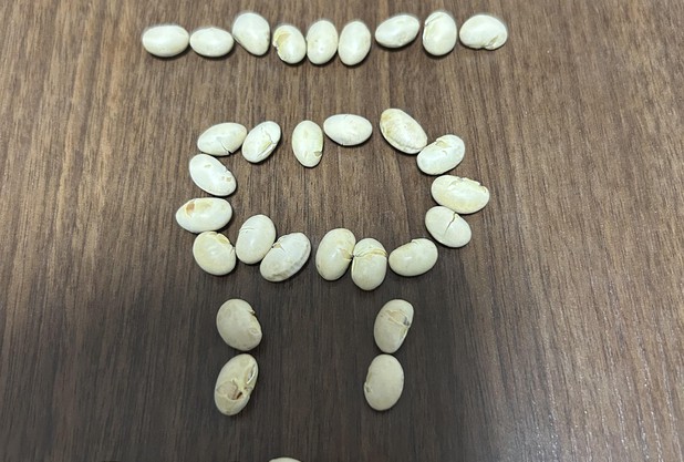節分