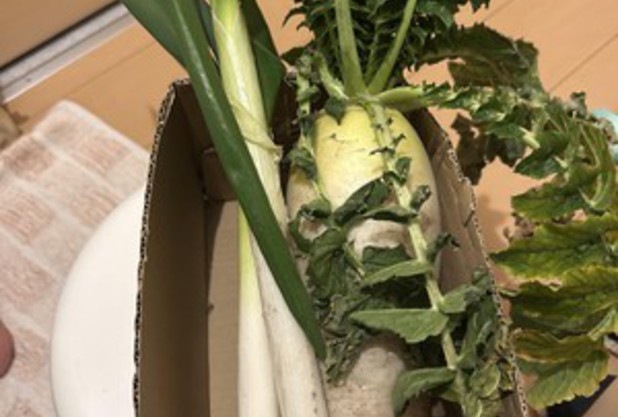 野菜