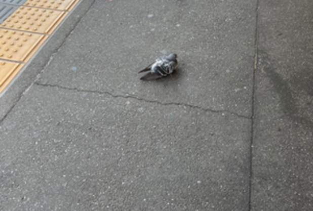 あえて