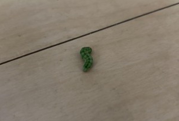 はらぺこかわからん青虫