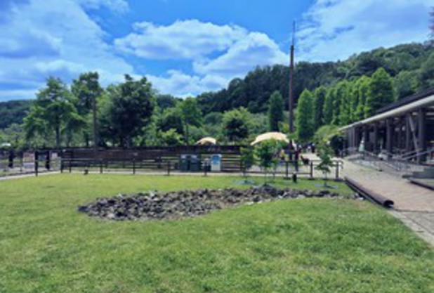 毎日テニス選手権 最終