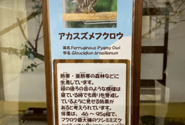 非日常