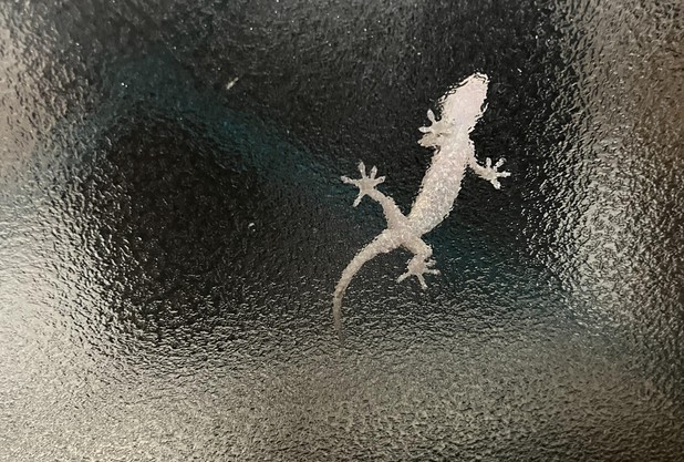 窓の外に誰かが